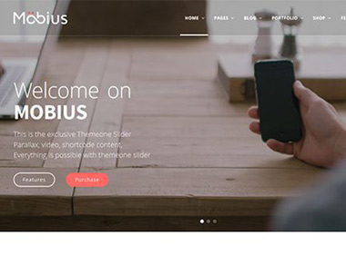 portfolio-item